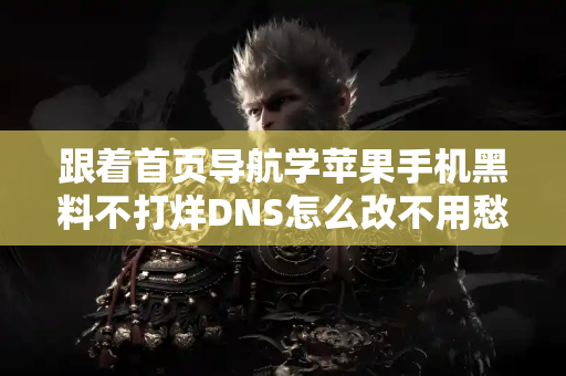 跟着首页导航学苹果手机黑料不打烊DNS怎么改不用愁