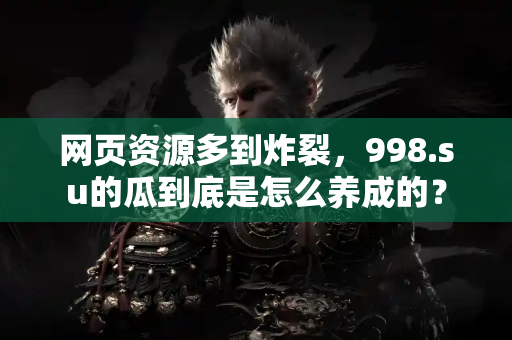 网页资源多到炸裂，998.su的瓜到底是怎么养成的？