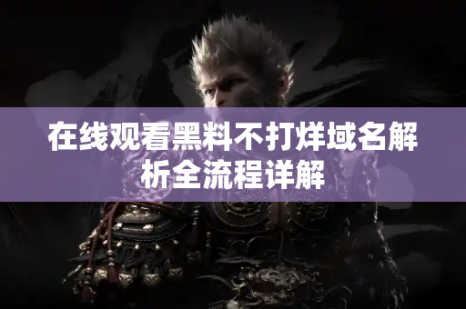在线观看黑料不打烊域名解析全流程详解 在线观看黑料不打烊域名解析全流程详解